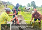 Permudah akses petani mengangkut hasil panen, Babinsa kodim Mamasa bersama warga mengecor jalan tani