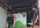 Wujud Nyata Kepedulian TNI, Babinsa Koramil 1401-01/Banggae Perbaiki Rumah Warga Binaan