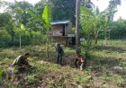 Komsos dengan Petani, Babinsa Koramil 1401-01/Banggae Dorong Pemanfaatan Lahan untuk Ketahanan Pangan